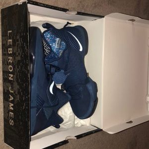 Lebron XIV LMTD